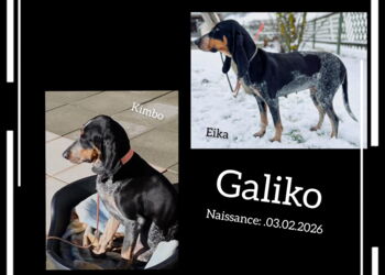 Processed-572DBF83-9818-44D7-AE94-2910B886AAA6