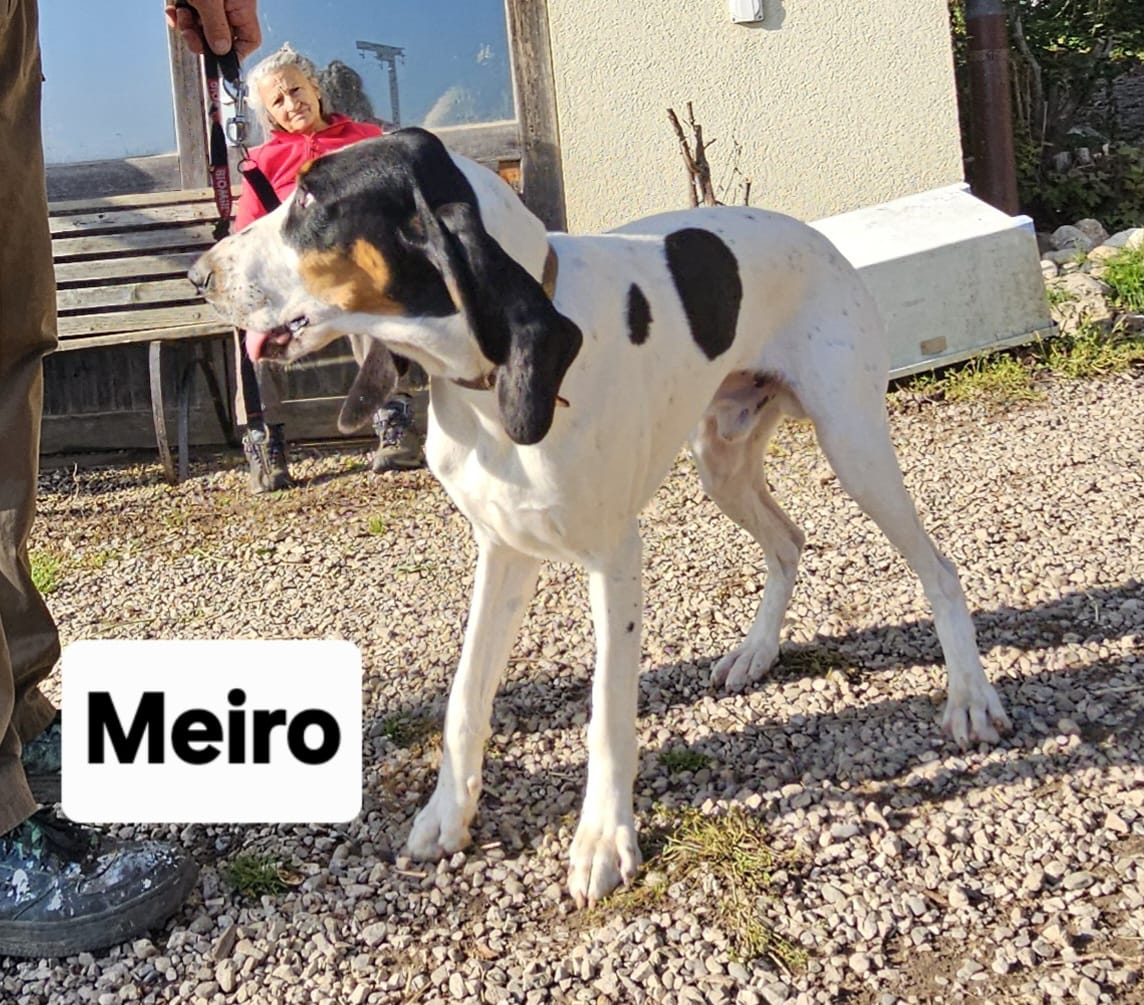 Meiro