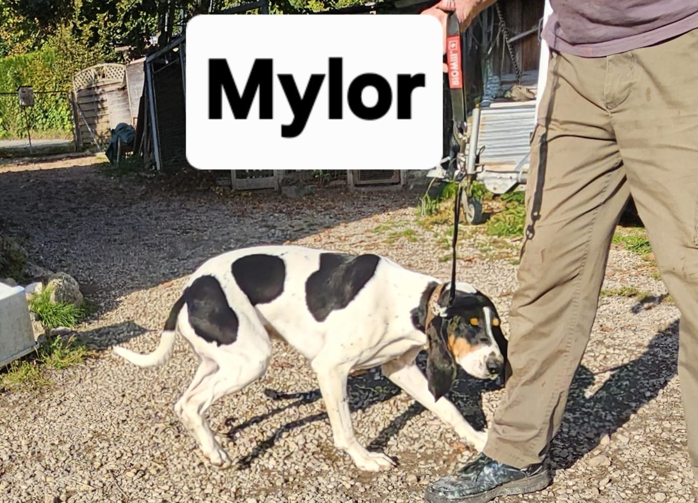 Mylor